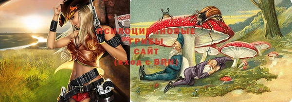 a pvp Гусиноозёрск
